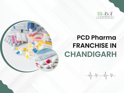 PCD Pharma Franchise in Chandigarh: A Complete Guide for New Distributors